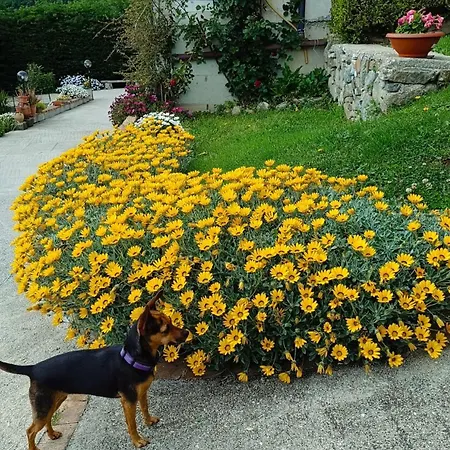 Ruggiero 